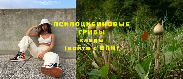 МДПВ Вяземский