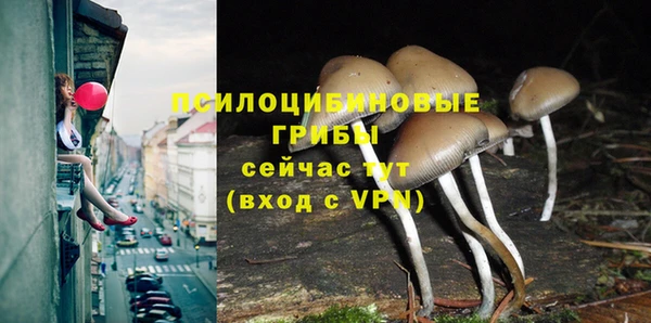 ALPHA PVP Волоколамск