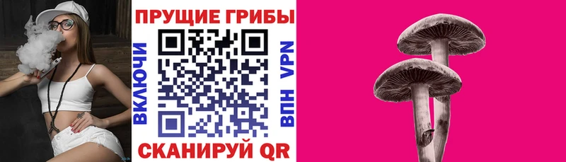 Псилоцибиновые грибы прущие грибы  ОМГ ОМГ маркетплейс  маркетплейс телеграм  Горячеводский 